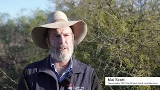 New drone technology trialled to control weeds on TSRs