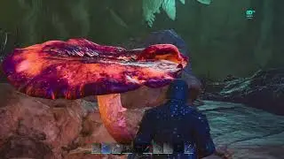 The Bears go Cavediving in Ark Survival Ascended
