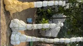 Parcel Ready For Delivery To Customer From Basundhara Nursery Basirhat West Bengal #parcel