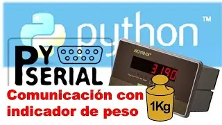 Python y PySerial, comunicaci&oacute;n serial con indicador de peso