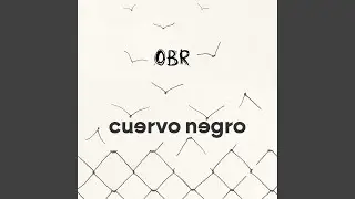 Cuervo negro