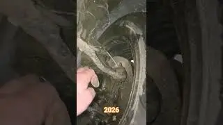 24 января 2026 г.
