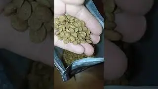 Котэ -обзор | Корм для котиков 🐈 | Nature's Protection Cat Indoor .