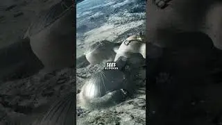 🚨🛸 The Shocking Story of NASA Whistleblower Carl Wolfe.. Joe Rogan teams up with A.J. Gentile #viral