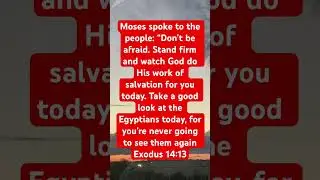 #courageousfaith #goviral #lets read the Bible together