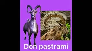 Goat simulator payday characters in real life!