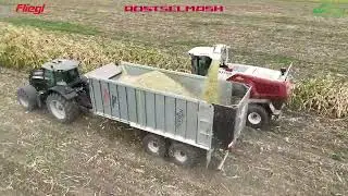 Fliegl ASW - Rostselmash RSM F 1300 &ndash; siguran tandem za siliranje!