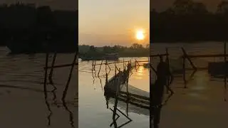 Fish Farm Life: Fast Feeding Time! #shorts