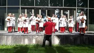 TUULEVIIUL - Oh sa vana valgõ jänes (Põlvamaa)