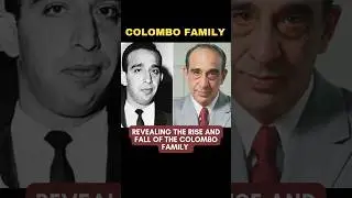 COLOMBO FAMILY | IS IT REBUILDING AND BECOMING STRONG AGAIN?  #colombofamily
