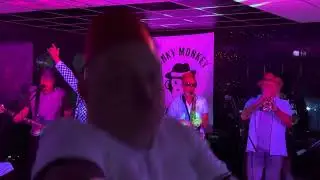 Funky Monkey Bubble Klub @ Mardons