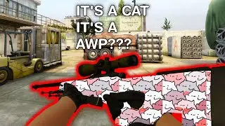 There's A Cat It's Ah AWP... #shorts #fyp #csgo #cat