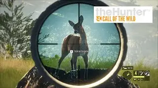 #101 Jagderfolge bei TheHunter Call of the Wild