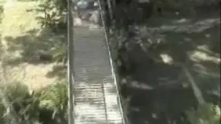 Roatan Zip Lining