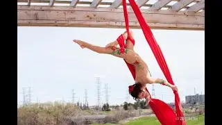 Aerial Silks  | Specialty Circus Show