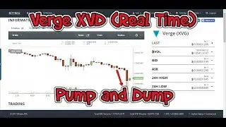 How i Made 50% Profit | Verge XVG Pump and Dump Real Time