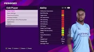 Pes 2020 Stats Sterling (FM to PES )