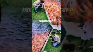 FISH must be hungry | ViralSpree #youtubeshorts #shorts #youtube