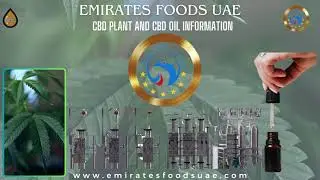 How to get CBD OIL| Hamp Oil | Health Benefits of CBD Oil |Cabbies Oil Export By Emirates Foods UAE