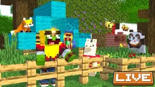 LUŹNE GRANIE i BAZY OGARNIANIE - Podbój Minecraft Live