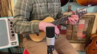 2010s Mitchell MU-70 concert ukulele