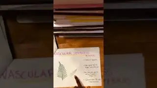 Evolution of plants comic strip video