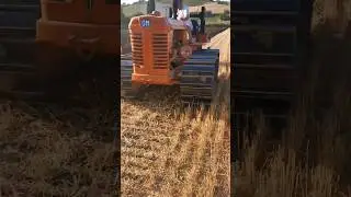 OM 50C Crawler Tractor &ndash; Pure Italian Aratura Power | Classic Heavy Ploughing