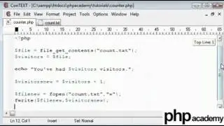 Simple Visitor Counter - English