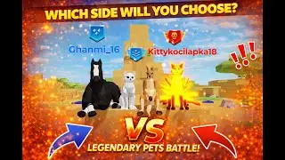 Animals capture the flag 07