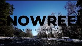 snowreel - cinematic winter fpv