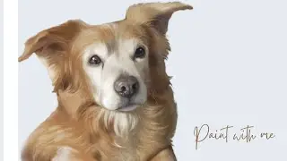 Paint with Me: Dog Memorial Digital Painting Process