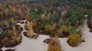 Couleurs d'automne à Fontainebleau #1.