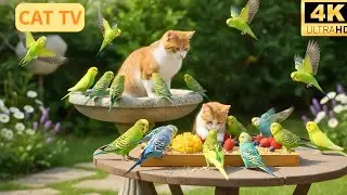 Cat TV Birds & Squirrels 🌸 Peaceful Spring Garden 4K | Nature View for Cats