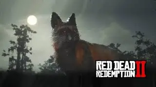 Red Dead redemption 2 online : Raposa Cross lend&aacute;ria
