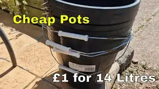 Cheap Bucket plant pots for your garden or Greenhouse or Polytunnel
