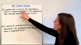 Sex linked Genetics
