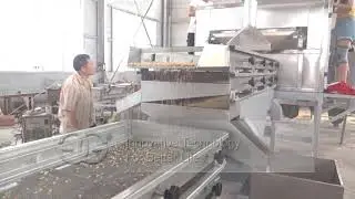 Commercial Use Macadamia Nut Particle Cutting Machine From Cara@machinehall.com