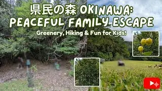 📍 Must-Visit Family Spot in Okinawa: Kenmin no Mori Guide #okinawa #travel #family #park #kid 