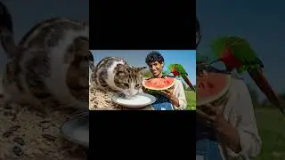 THEY SAY FOOD IS A UNIVERSAL LANGUAGE #funny #memes #animals #vegan