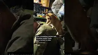 Combat Cat Gives a Massage to a Ukrainian Soldier #warinukraine