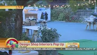 Design Shop Pop Up