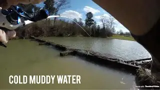 Bass Fishing Cold Muddy Water