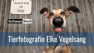 Tierfotografin Elke Vogelsang | Schwarzweiß - Der Fotografiepodcast | 084