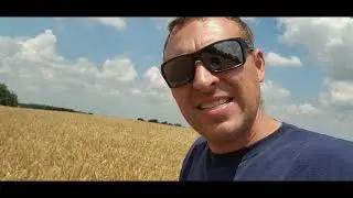 Is the Wheat Ready?