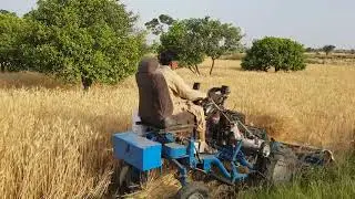 4 wheel reaper binder Machine....gandum ke katai 2021.kinnow k bagh me katai..in Pakistan punjab