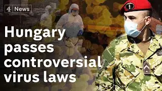 Hungary passes controversial coronavirus law - opposition say puts democracy in 'quarantine'