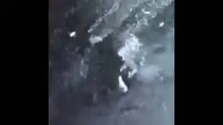 CLOAKED ALIENS AND A MICROSPHERE CAUGHT ON SECURITY CAMERA
