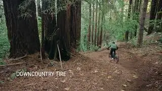 Teravail: Drawpoint - Downcountry Mountain Bike Tire