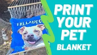 Print Your Pet Blanket (FurbabyPrints.com)