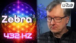 Zebra 3 &ndash; 432 Hz